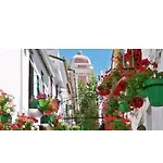 Esteponacies Apartmán Estepona