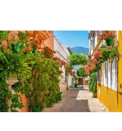 Esteponacies Estepona